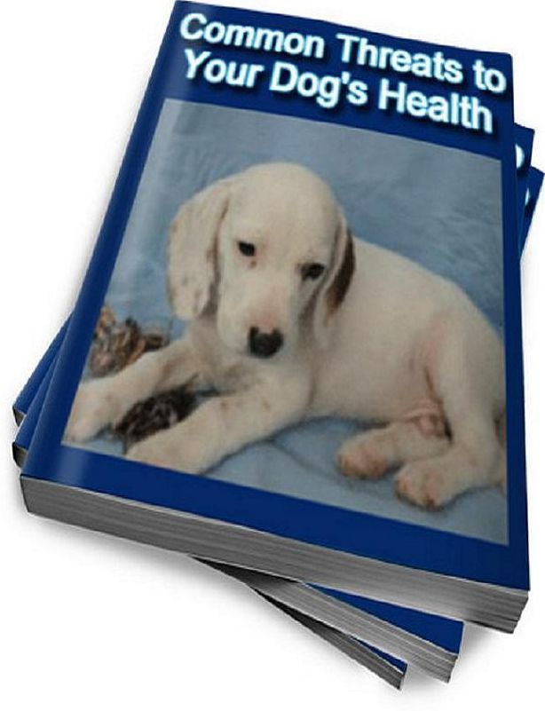 Dog Lover eBook - Common Threats to Your Dog’s Health - Tips to Handling Possible Depression in Your Dog