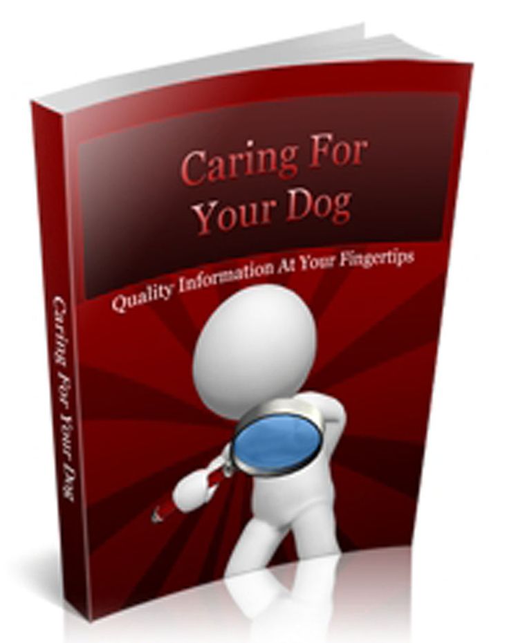 Caring For Your Dog