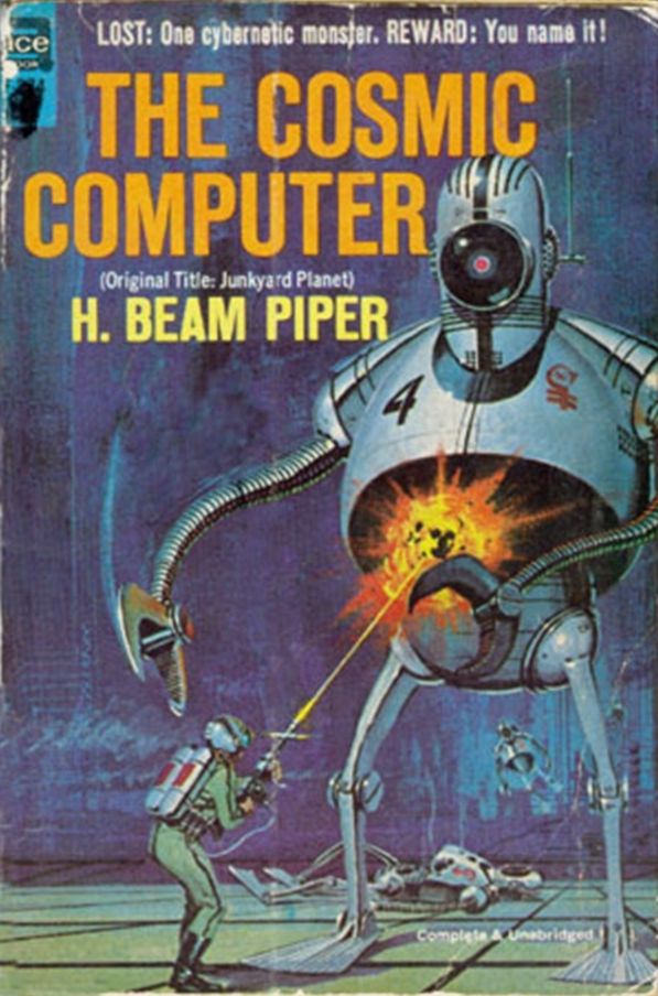 The Cosmic Computer