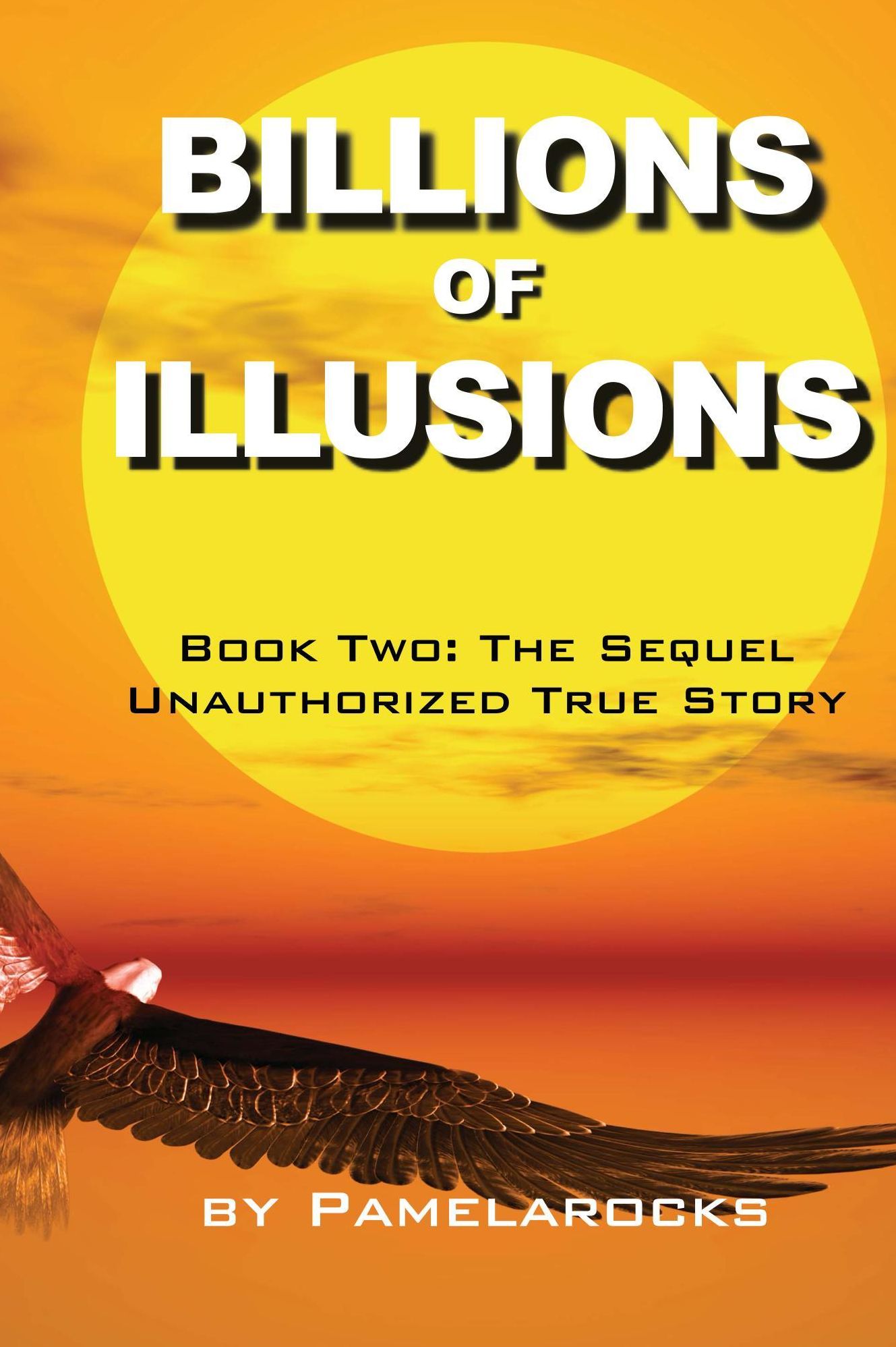 Billions of Illusions: Book Two: The Sequel