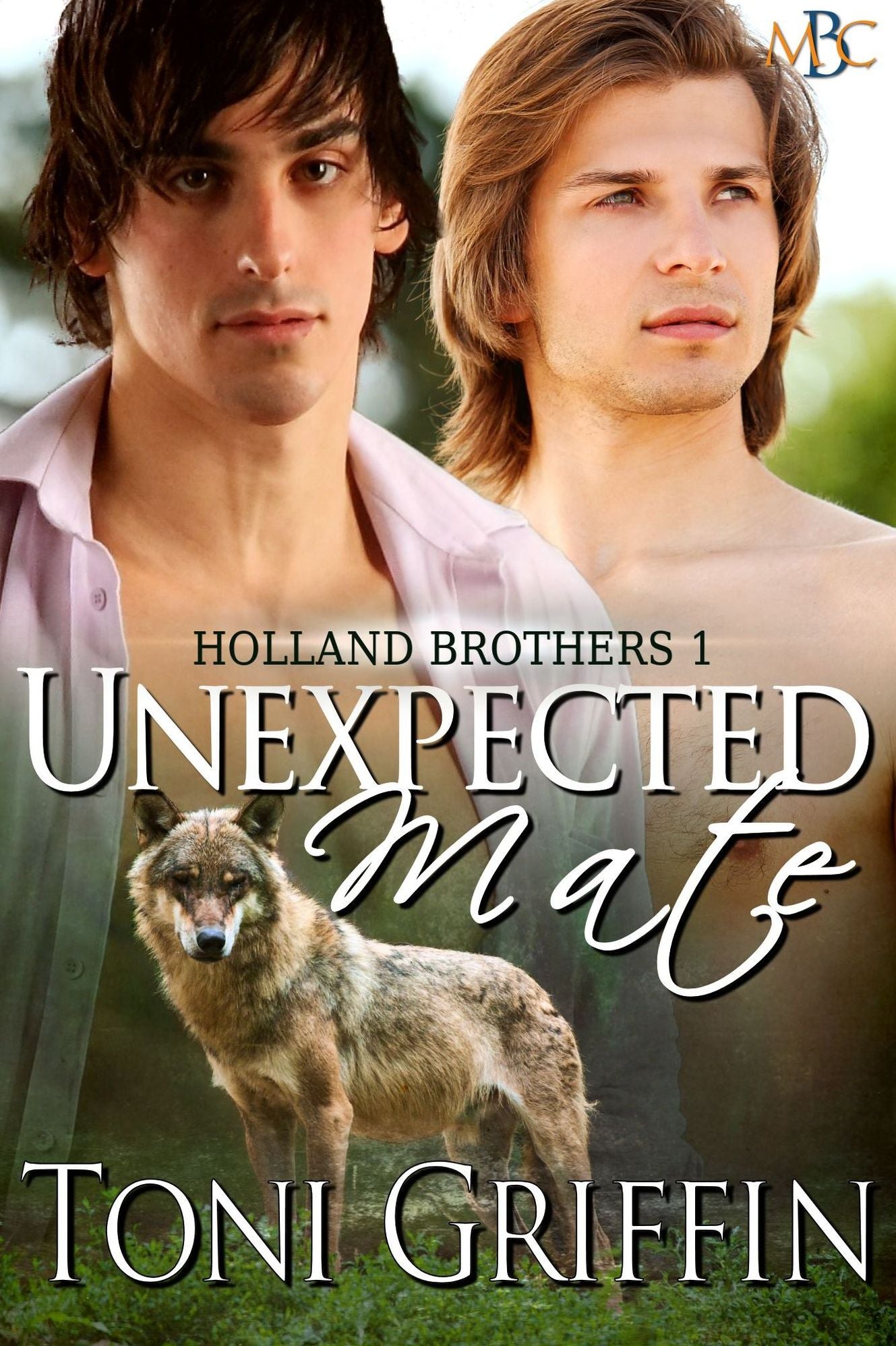 Unexpected Mate: Holland Brothers 1