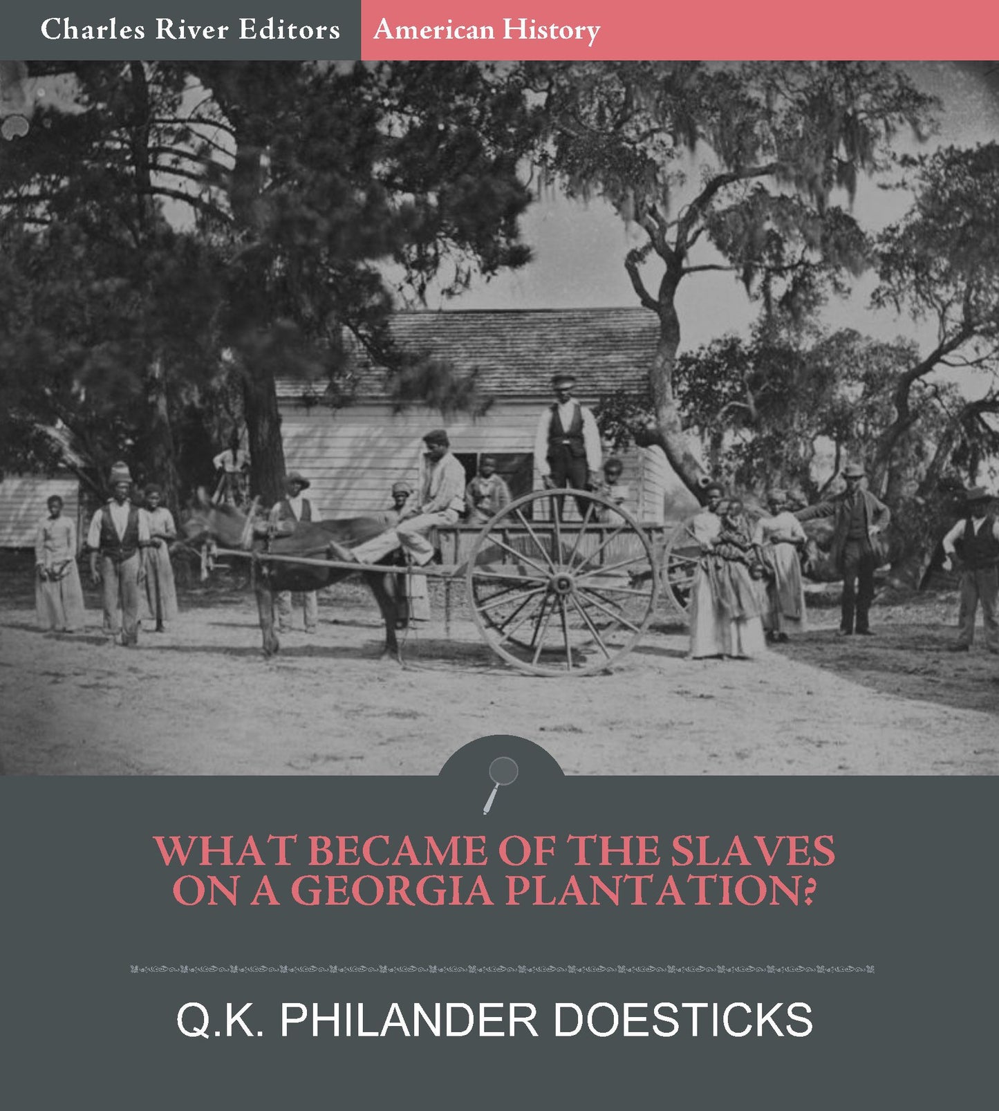 What Became of the Slaves on a Georgia Plantation?