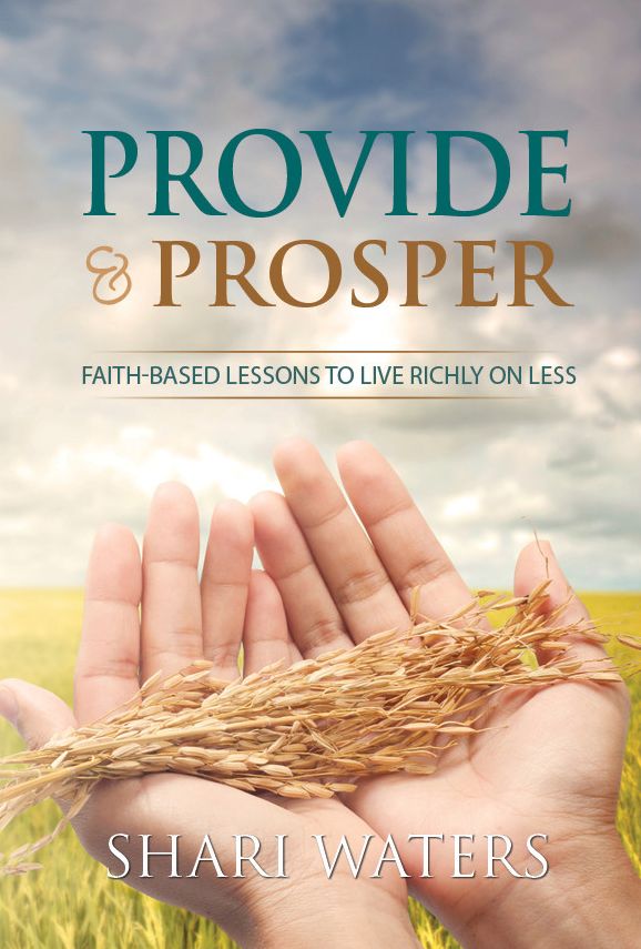 Provide And Prosper: Faith-Based Lessons to Live Richly on Less