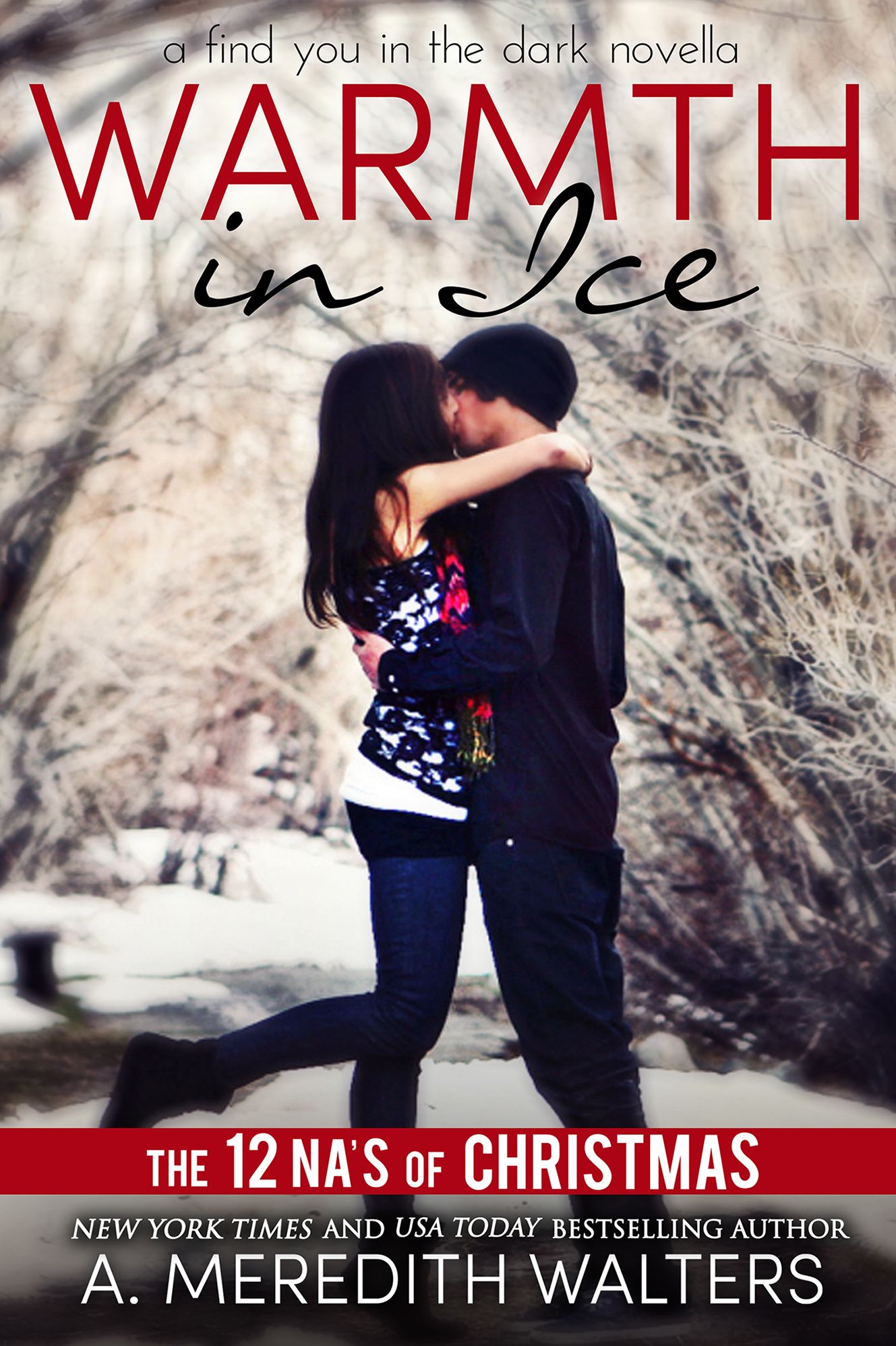 Warmth in Ice (A Find You in the Dark Novella)