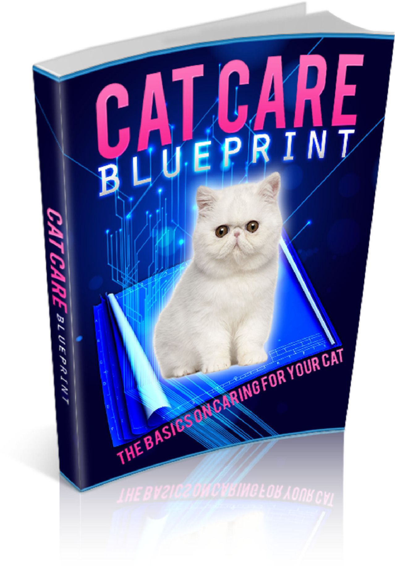 Cat Care Blueprint Be A Success At Taking Care Of Your Cat