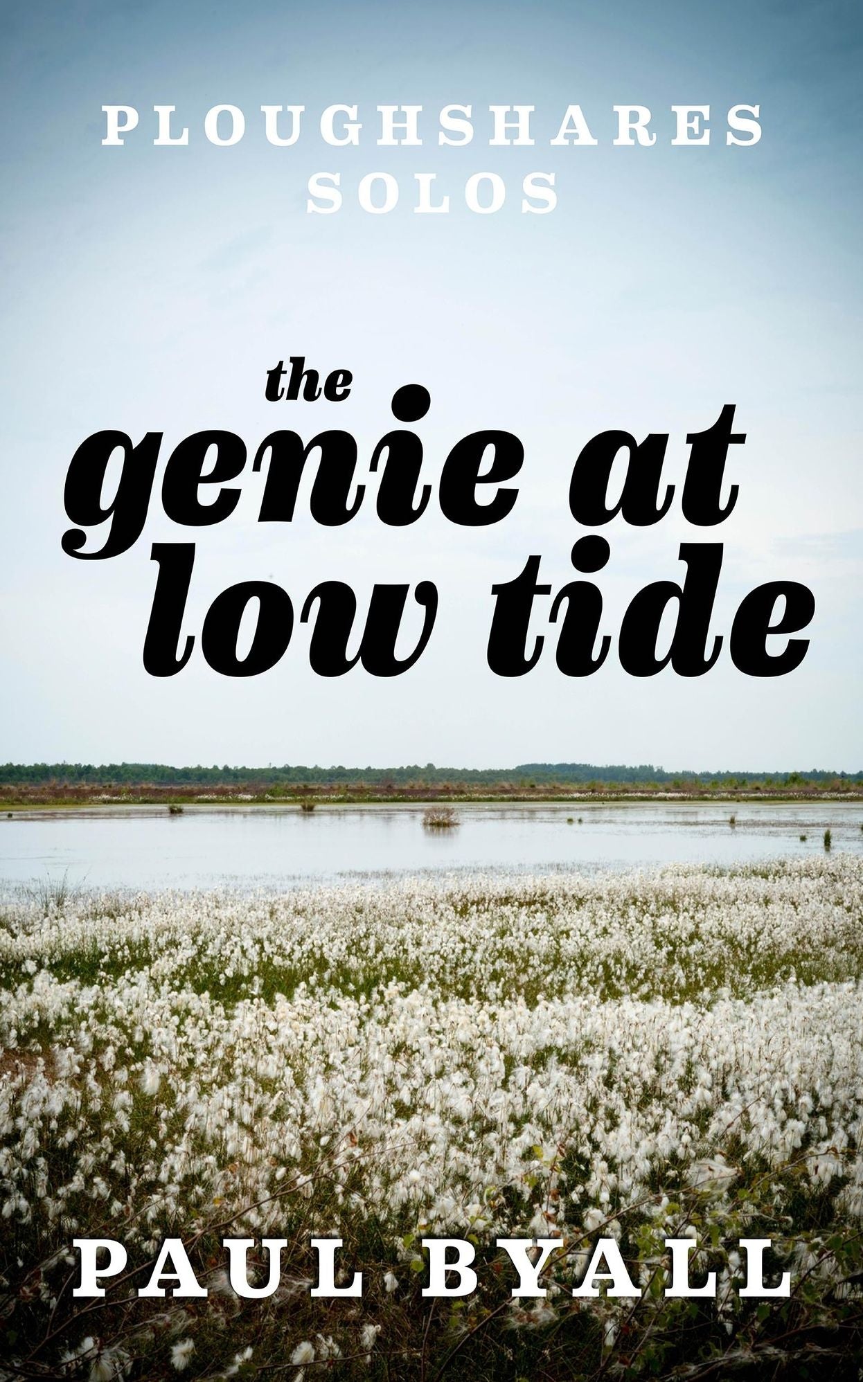 The Genie at Low Tide (Ploughshares Solos)