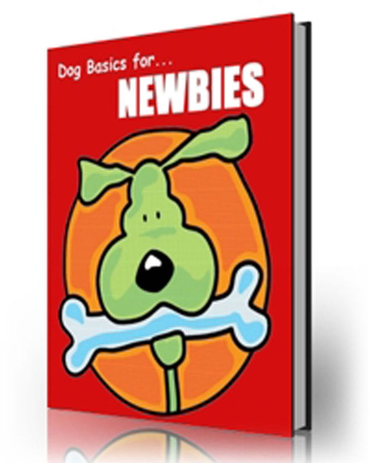 DogBasics