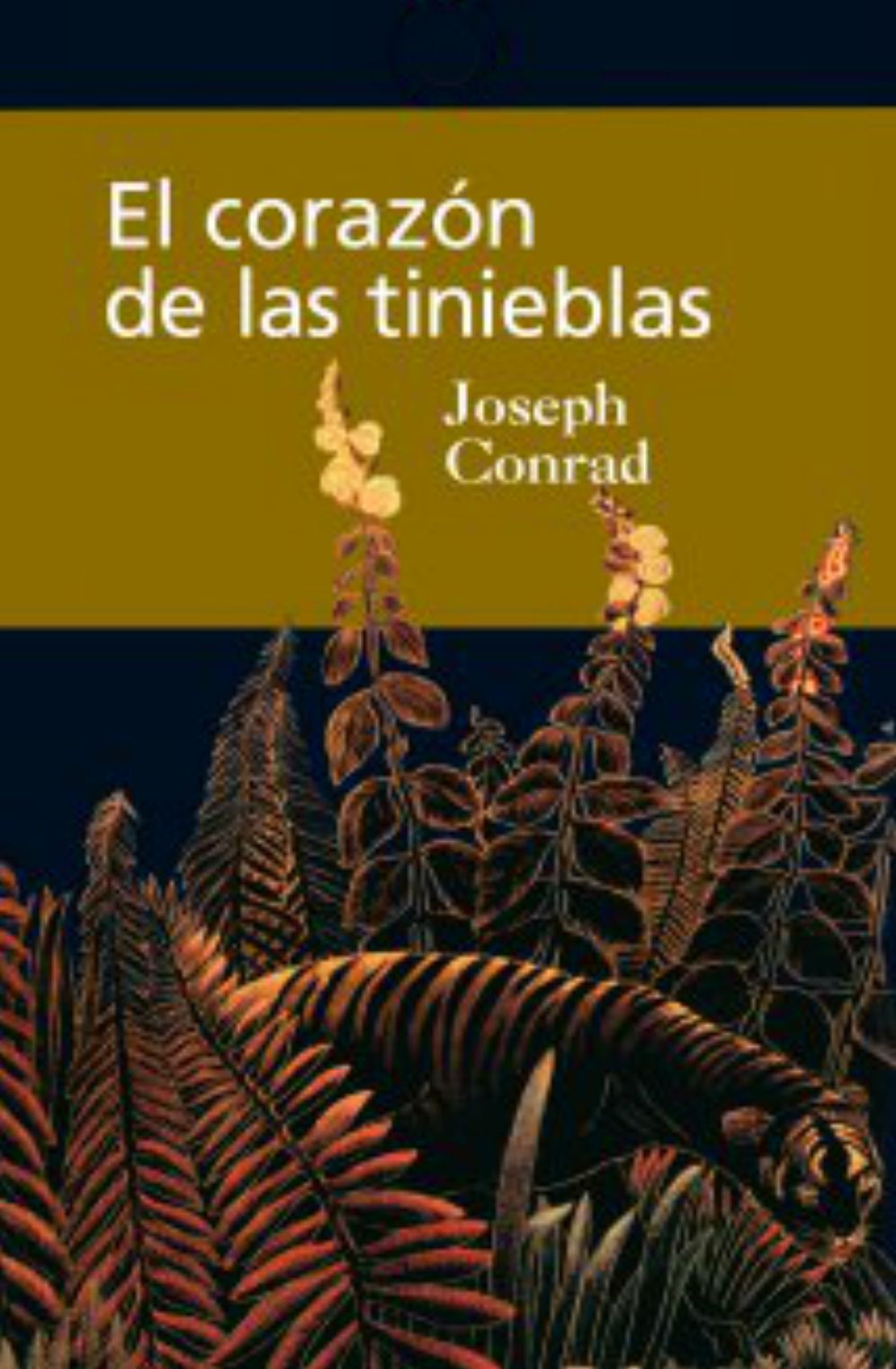 EL CORAZON DE LAS TINIEBLAS