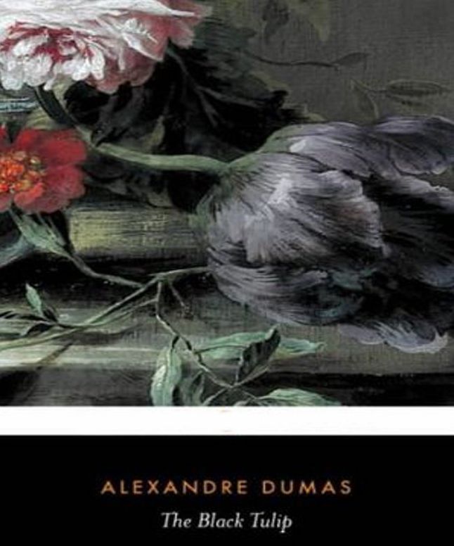 The Black Tulip