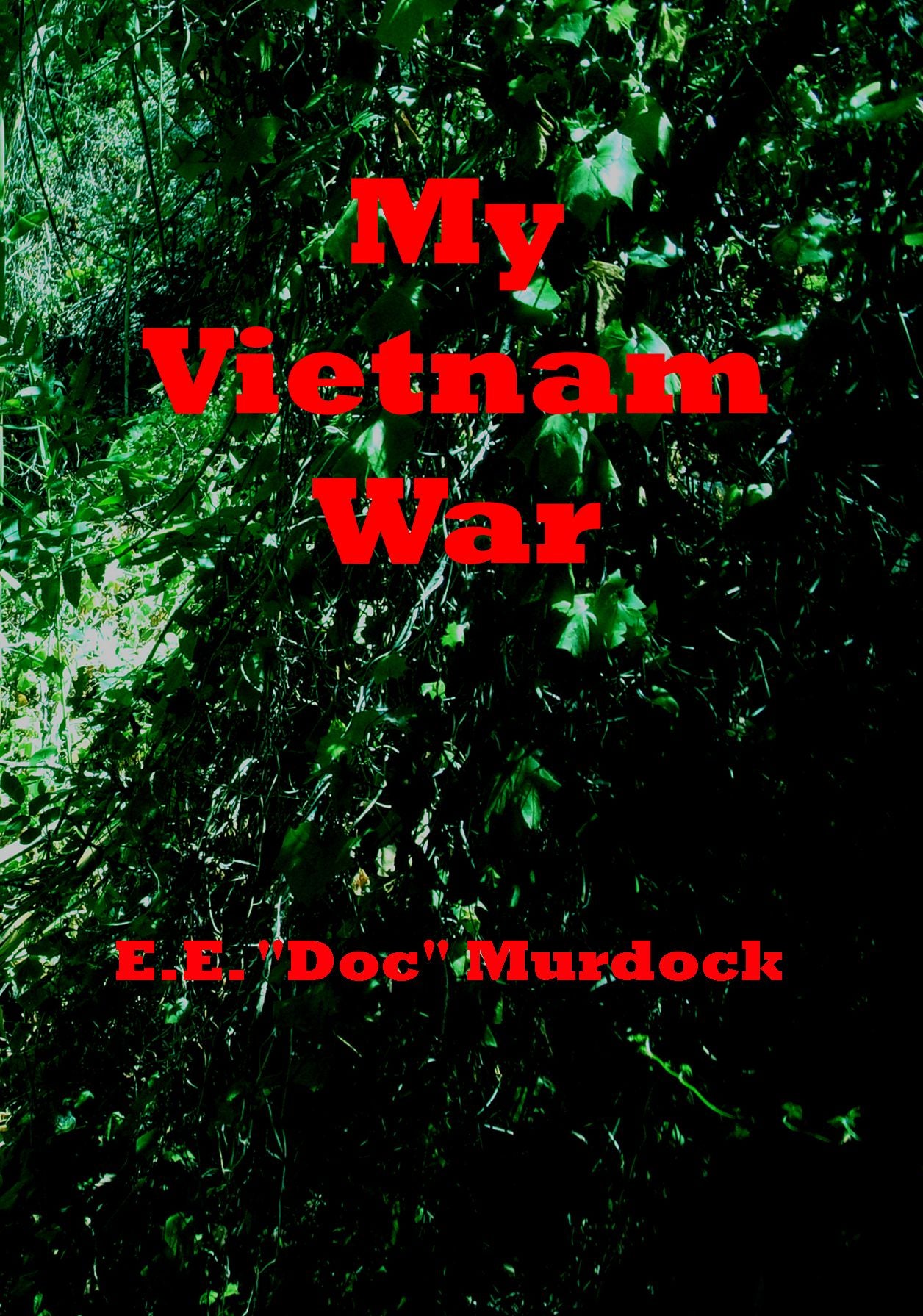 My Vietnam War