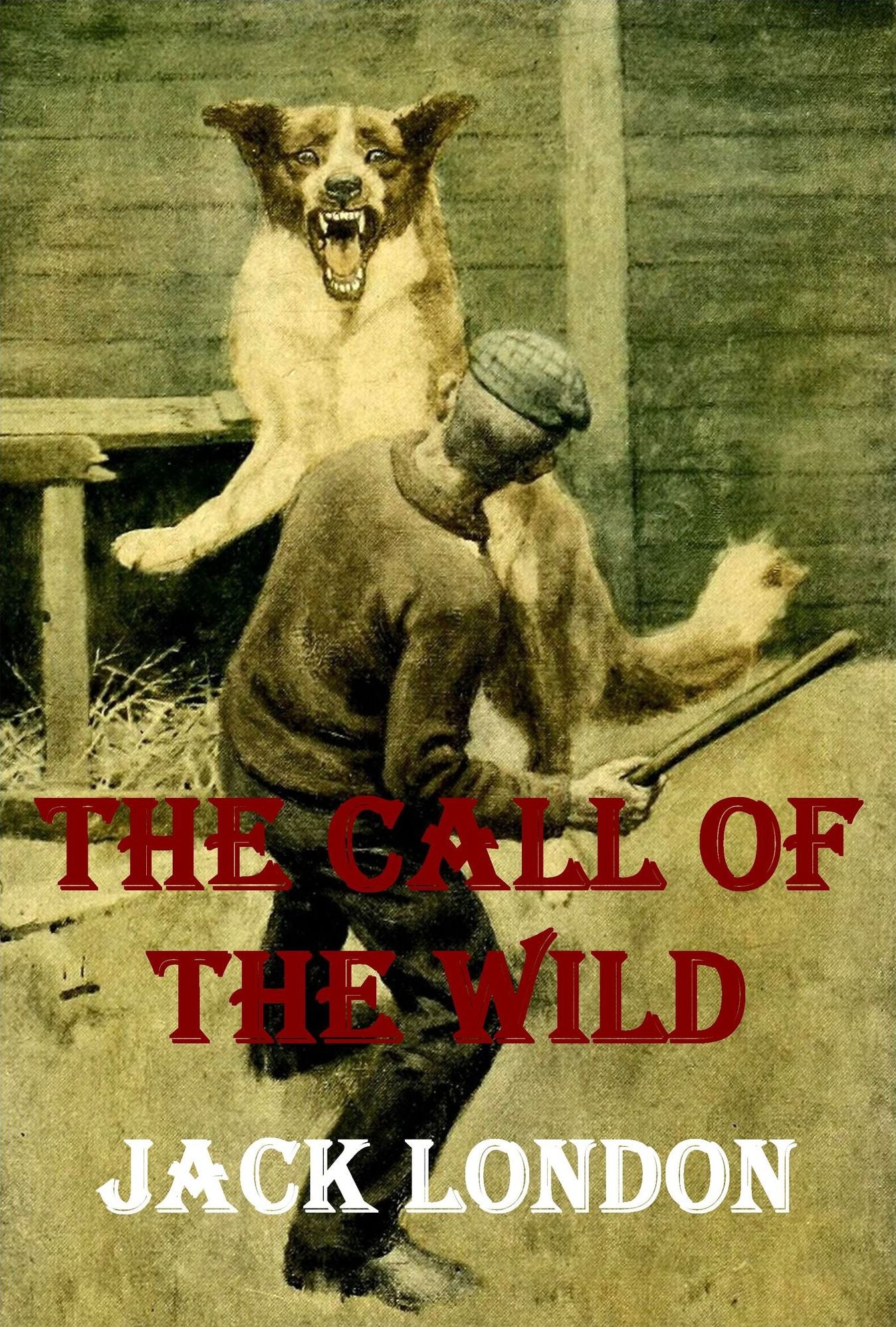 THE CALL OF THE WILD by Jack London