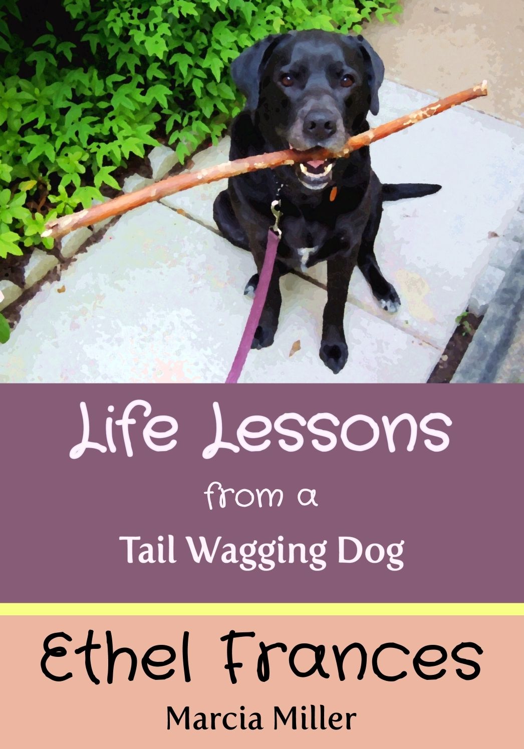 Life Lessons from a Tail Wagging Dog (21 Endearing Photos)