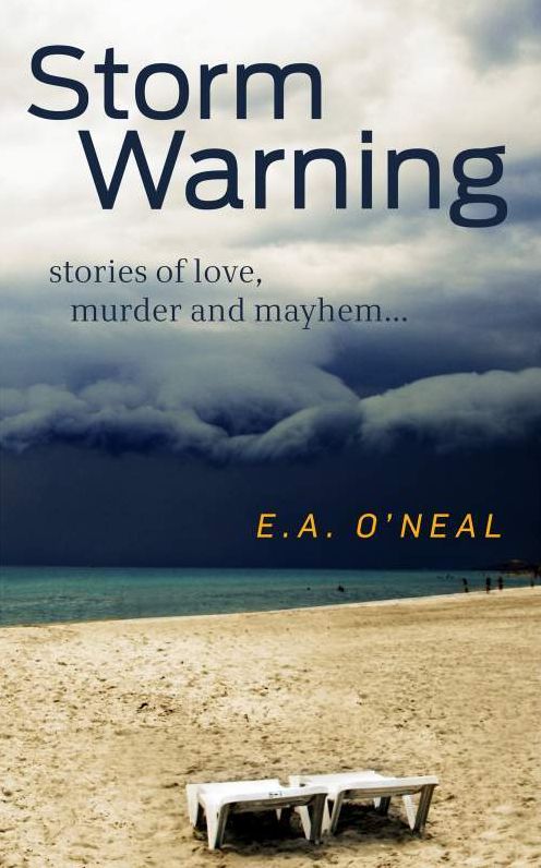 Storm Warning (Crime Fiction)