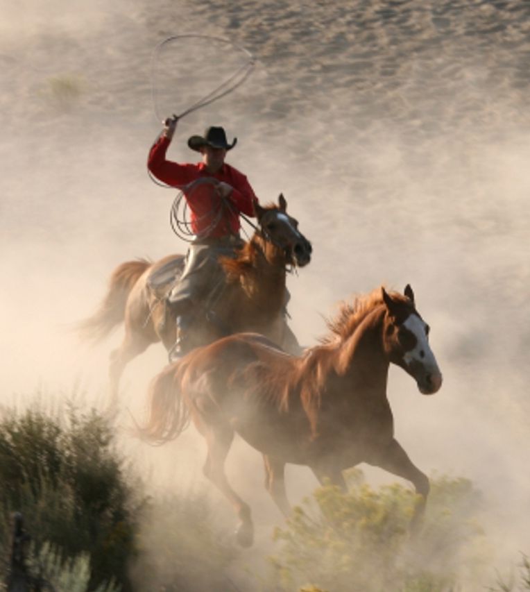 Western Books: The Mysterious Rider ( western, thriller, classic western, Billy the kid, Wyatt Earp, dodge city, Rifle, cowboy, Indian, 1800's )