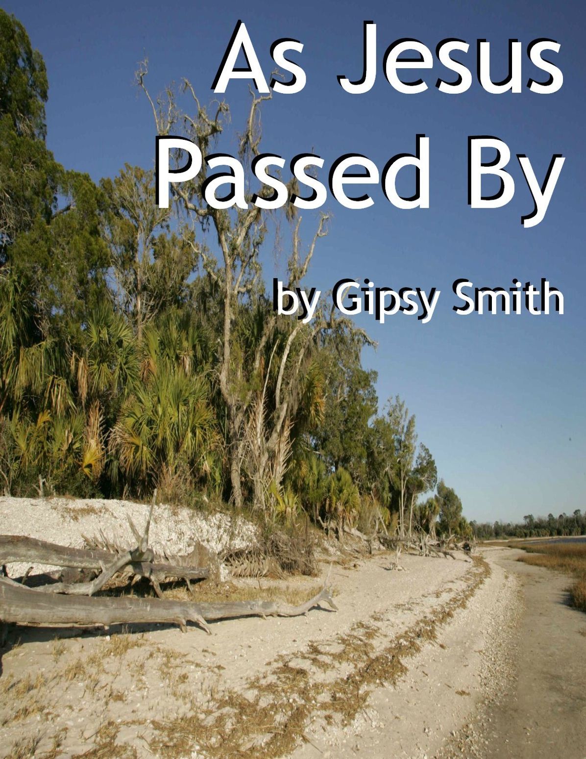 As Jesus Passed By