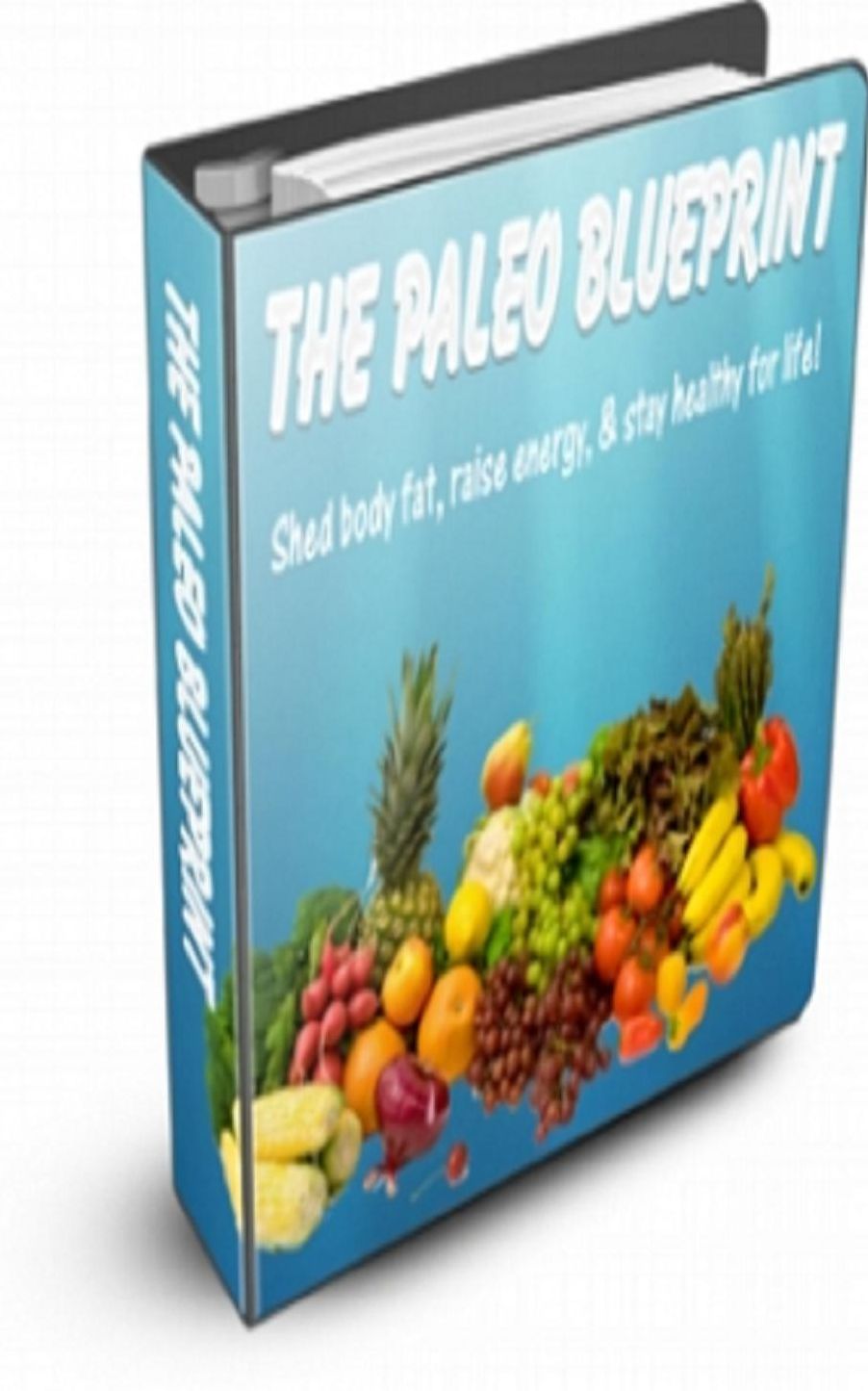 The Paleo Blueprint