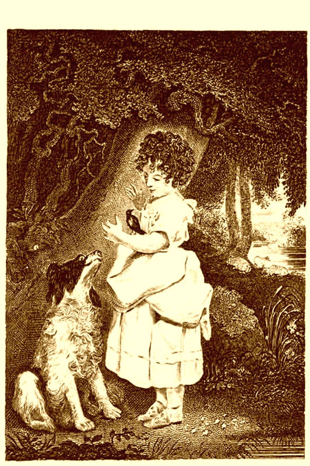 The Hawthorne A Christmas and New Years Present