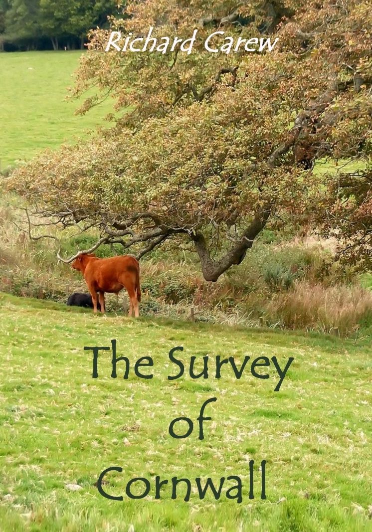 The Survey of Cornwall (Illustrated)