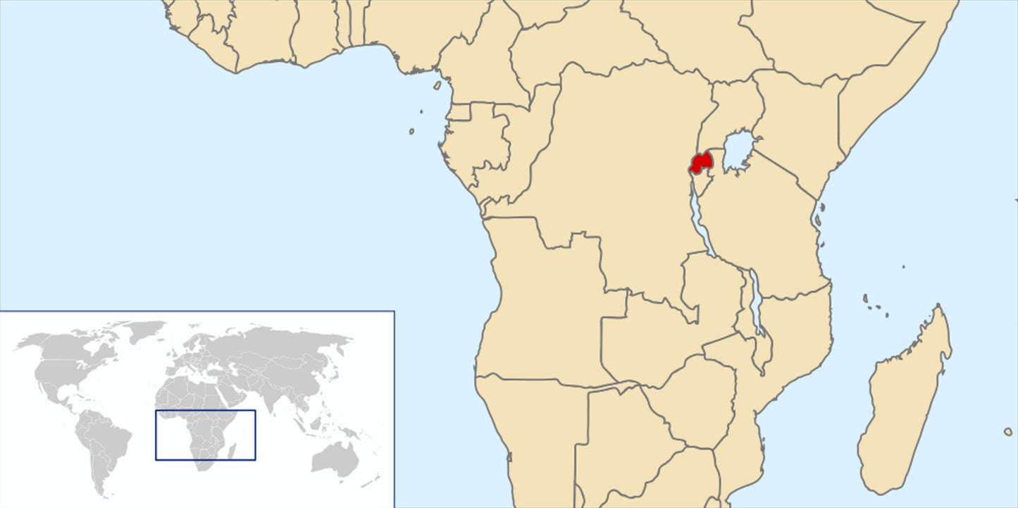 DISASTER AND INTERVENTION IN SUB-SAHARAN AFRICA: LEARNING FROM RWANDA