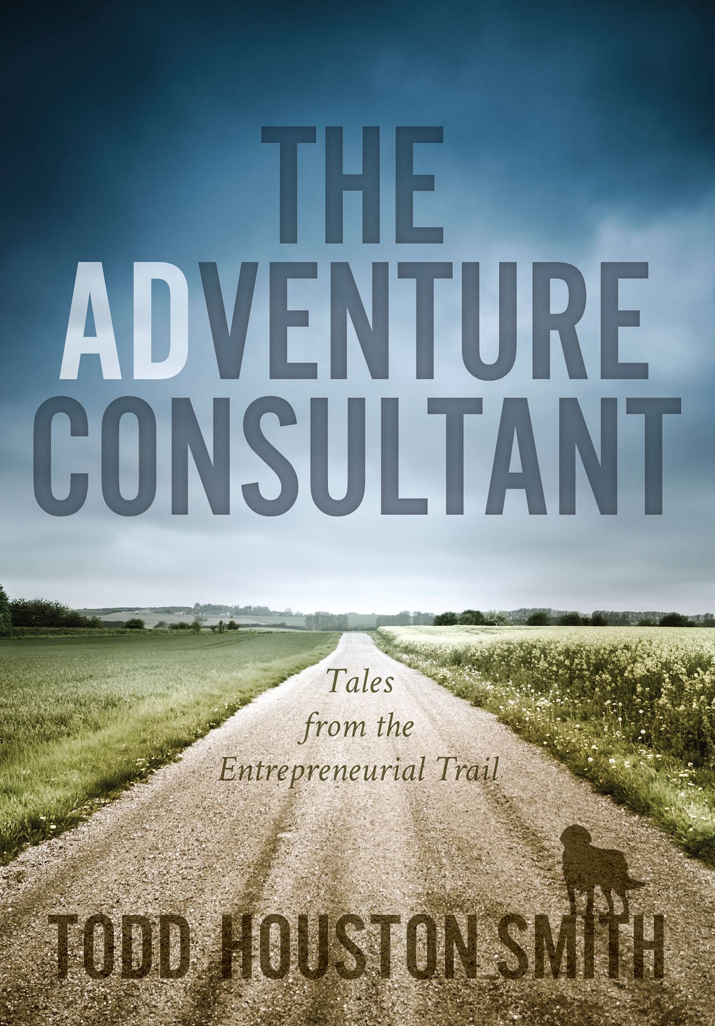 The Adventure Consultant: Tales From The Entrepreneurial Trail