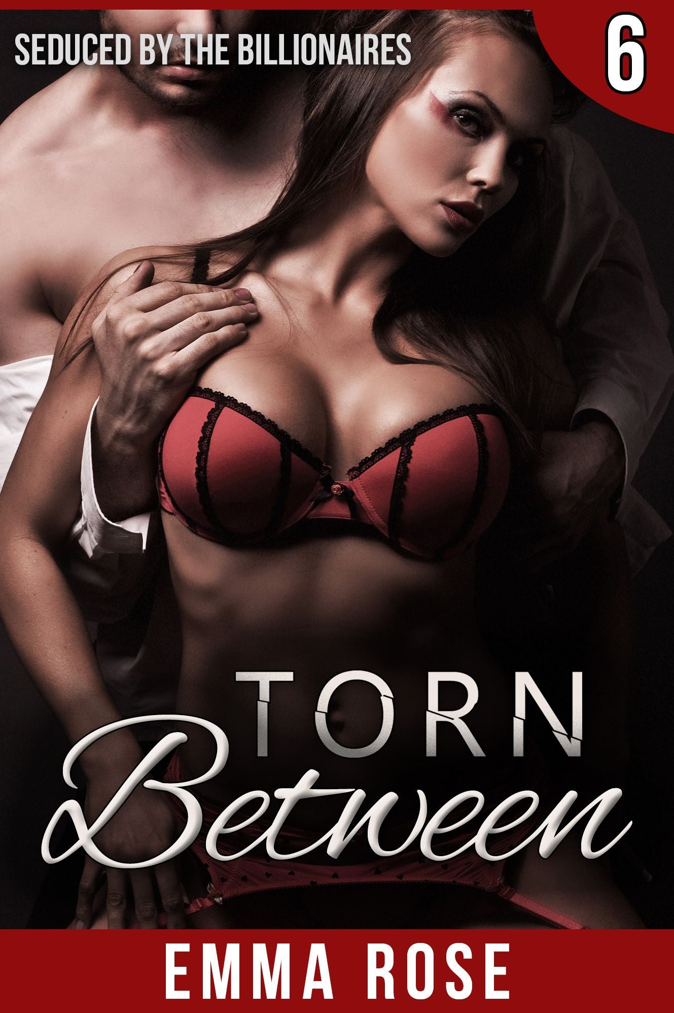 Torn Between 6: Seduced by the Billionaires (A Billionaire Adult Novella)