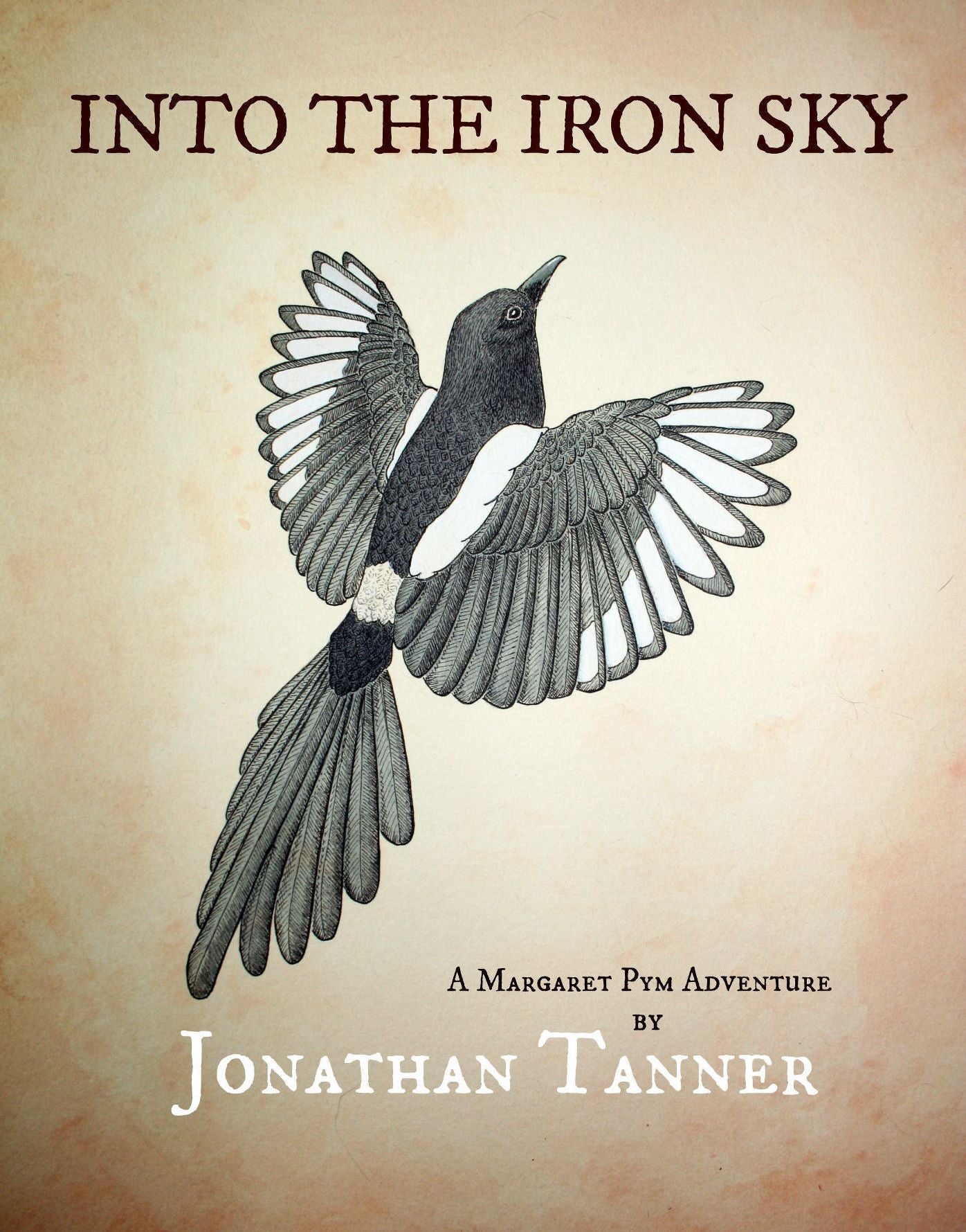 Into the Iron Sky