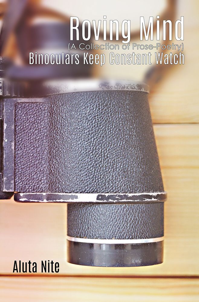 Roving Mind: Binoculars Keep Constant Watch