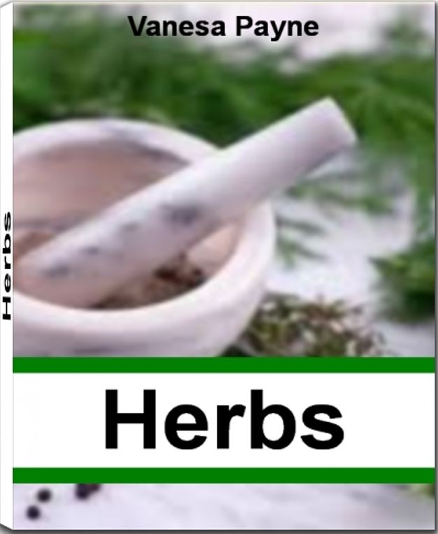 Herbs: An Inside Look Into The World of Alfalfa, Basil, Asafoetida, Burdock, Catnip and More