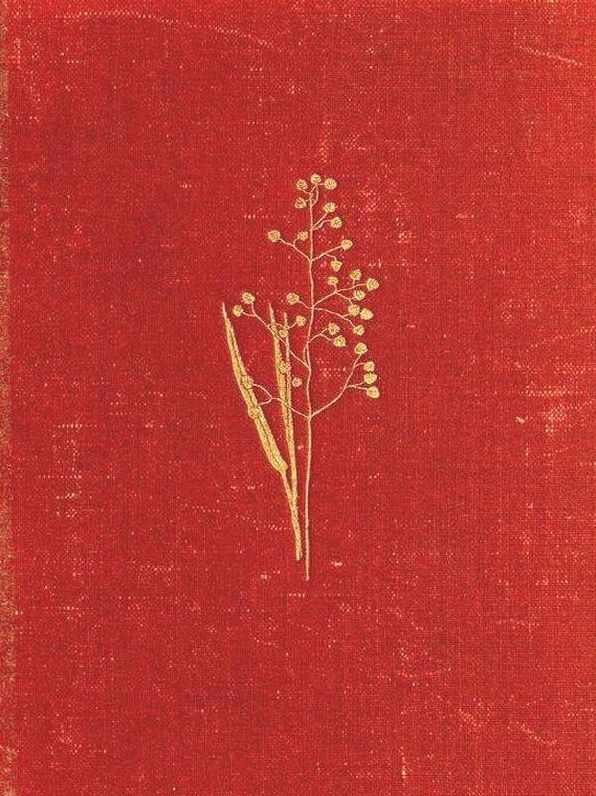 Field and Woodland Plants