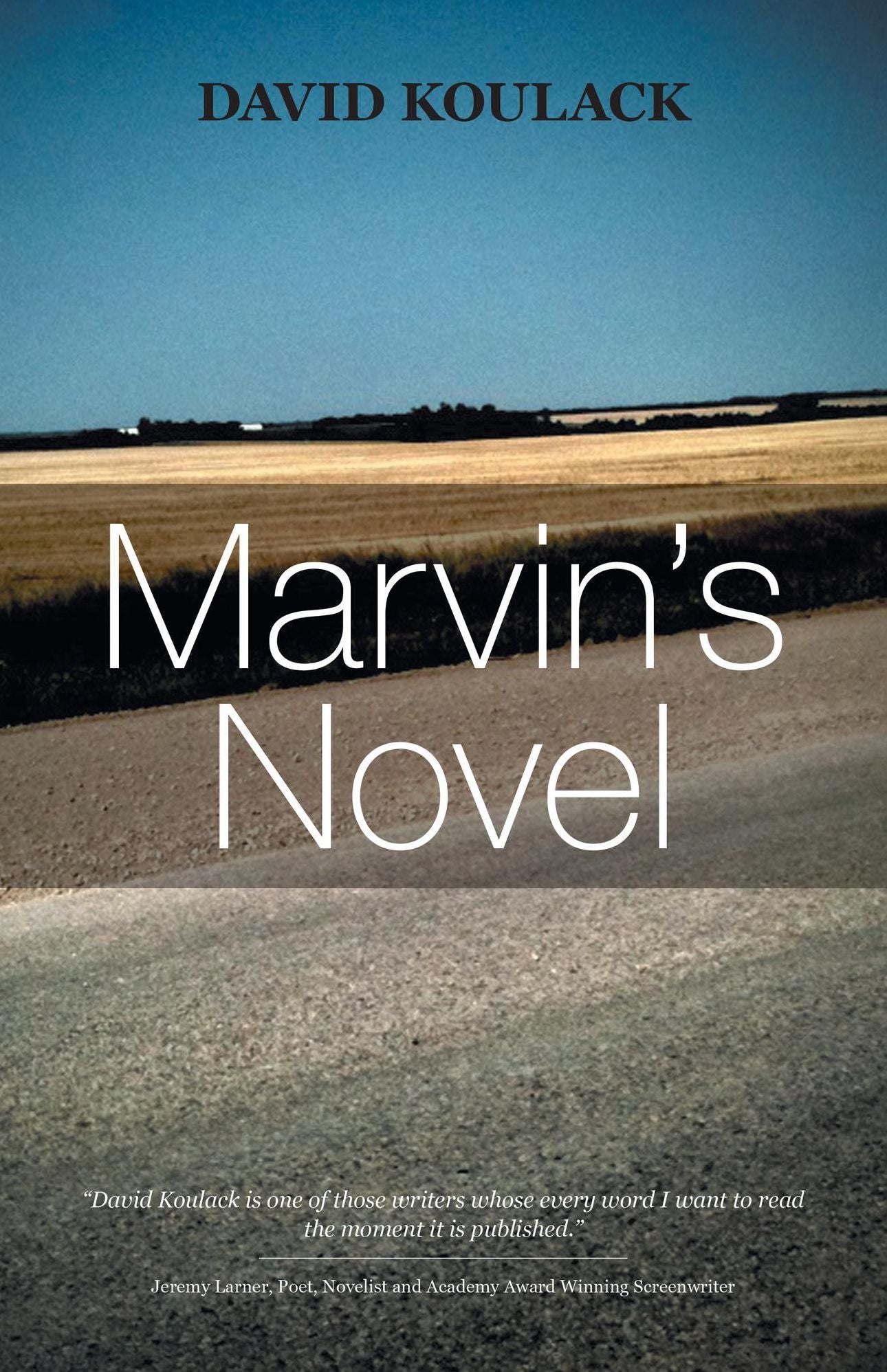 Marvin's Novel