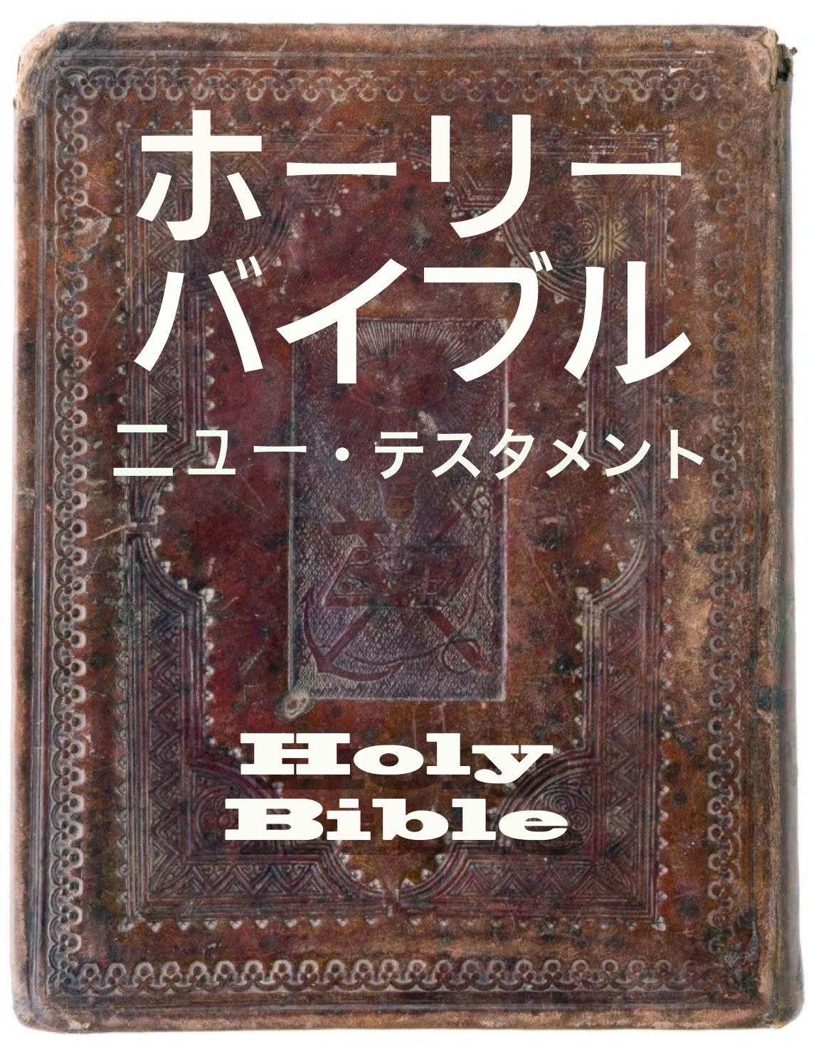 Holy Bible New Testament Japanese Translation ホーリー・バイブル・ニュー・テスタメント