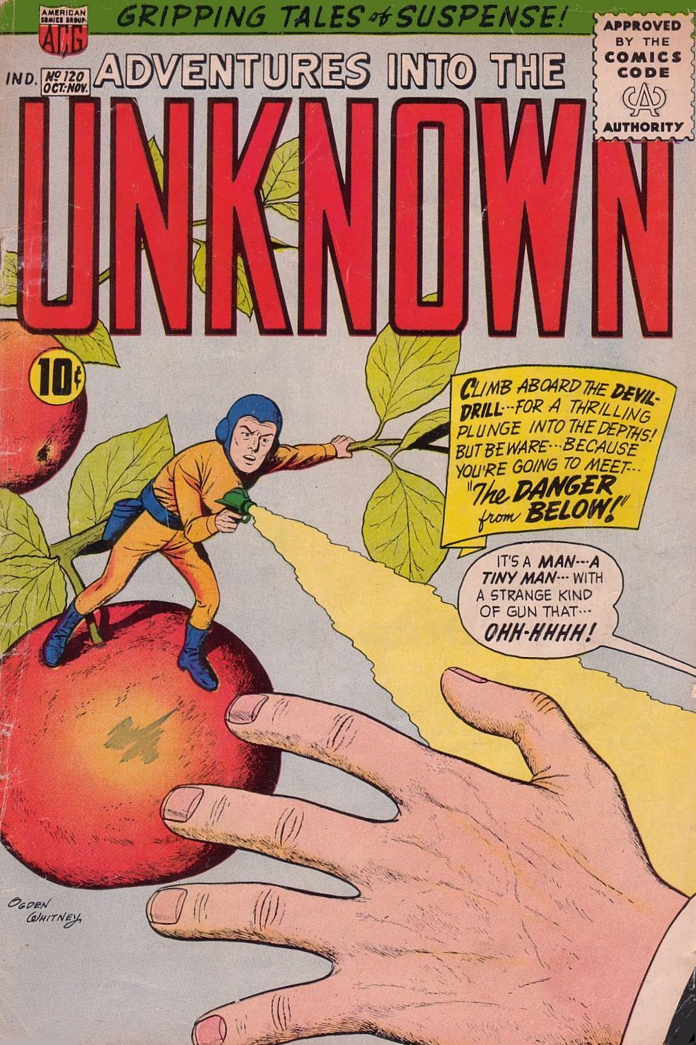 Adventures into the Unknown Number 120 Horror Comic Book