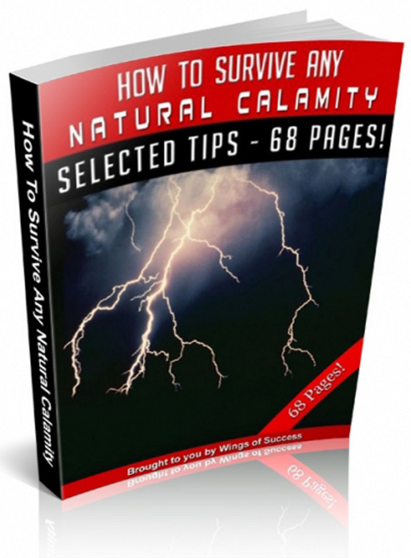 How To Survive Any Natural Calamity! AAA+++