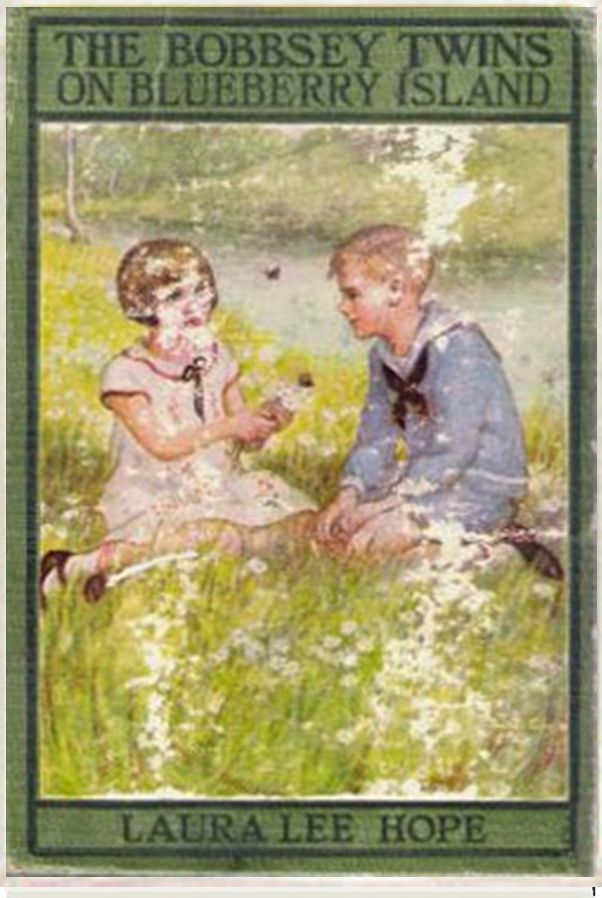The Bobbsey Twins on Blueberry Island
