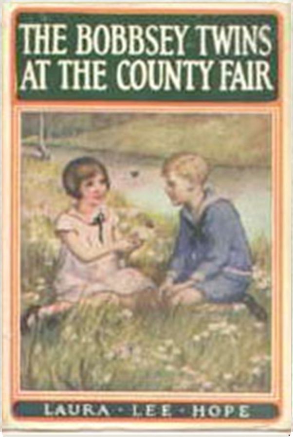 The Bobbsey Twins at the County Fair