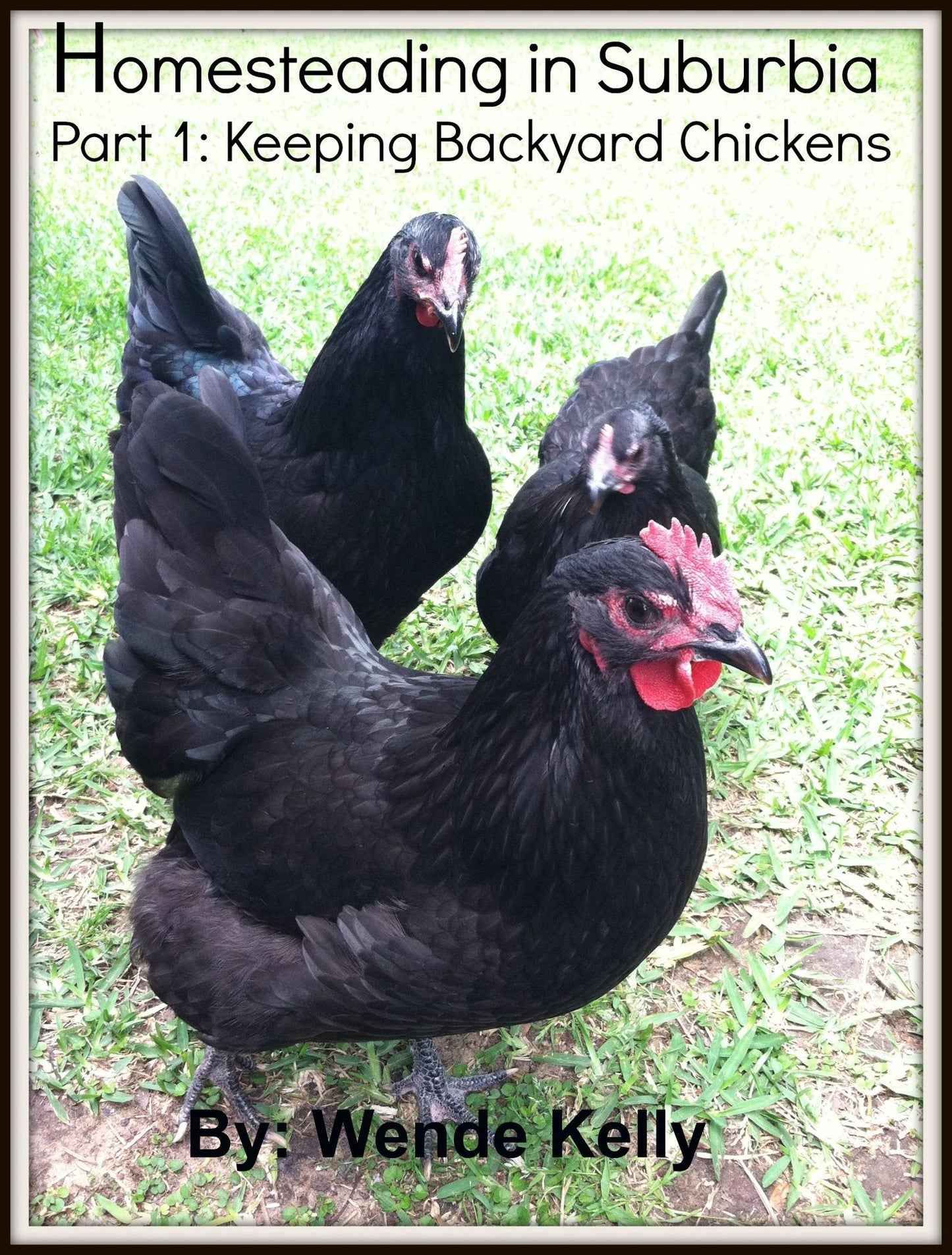 Homesteading in Suburbia: Part 1- Keeping Backyard Chickens