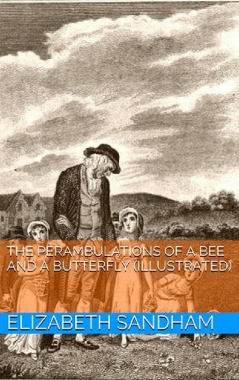 The Perambulations of a Bee and a Butterfly (Illustrated)