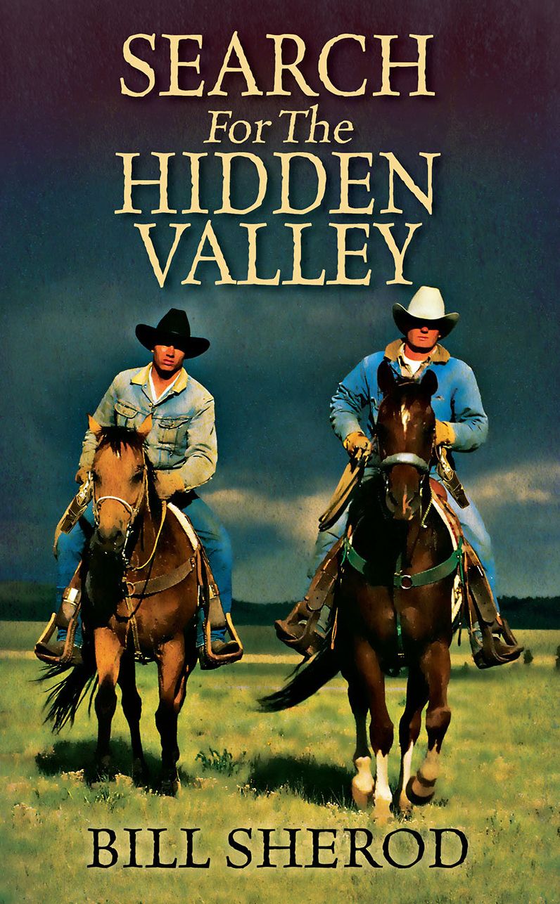 Search For The Hidden Valley