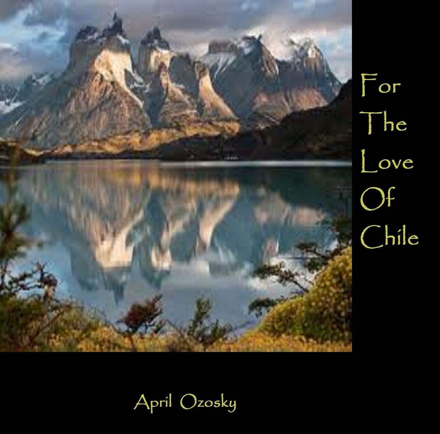 For The Love of Chile