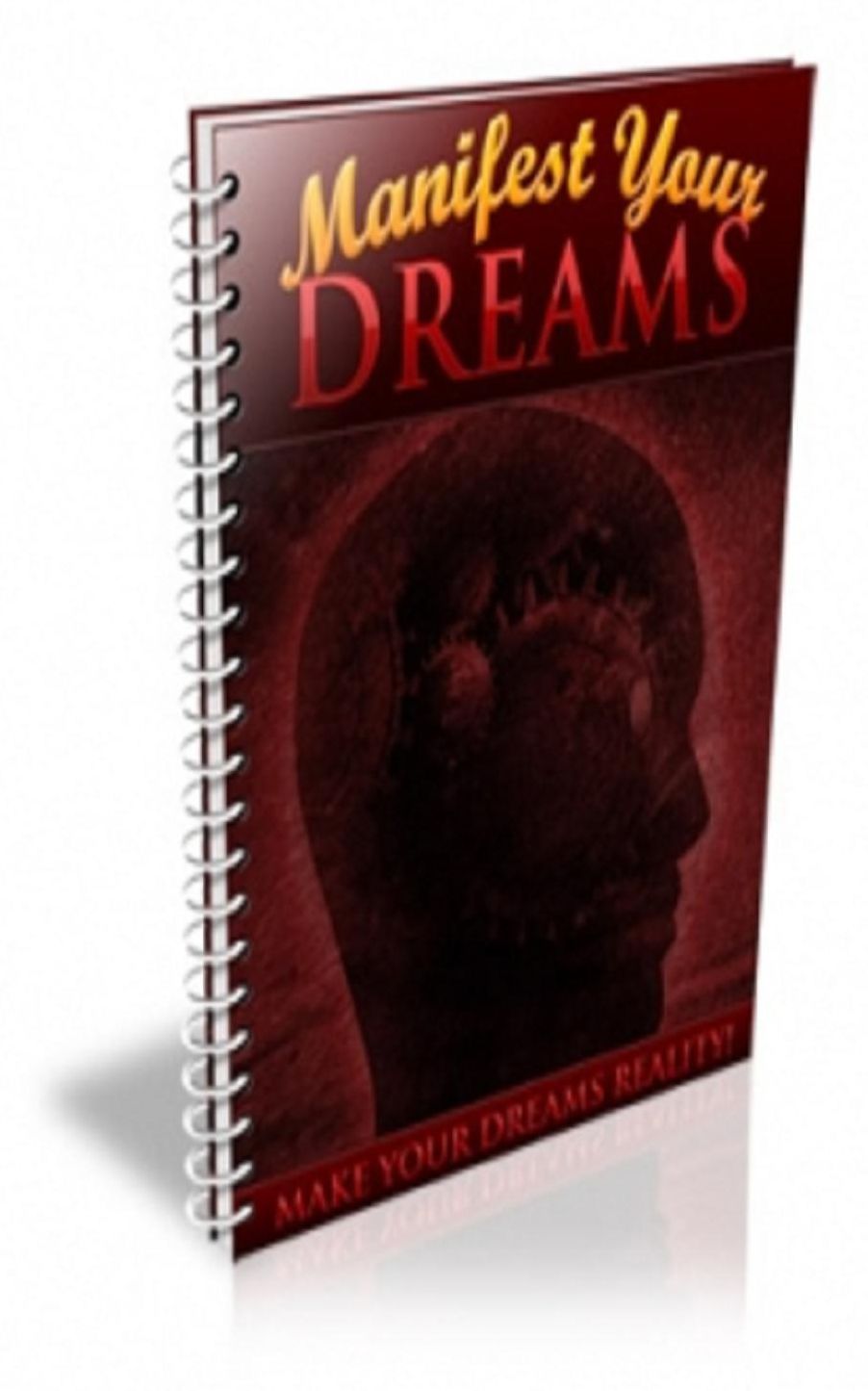 How To Manifest Your Dreams