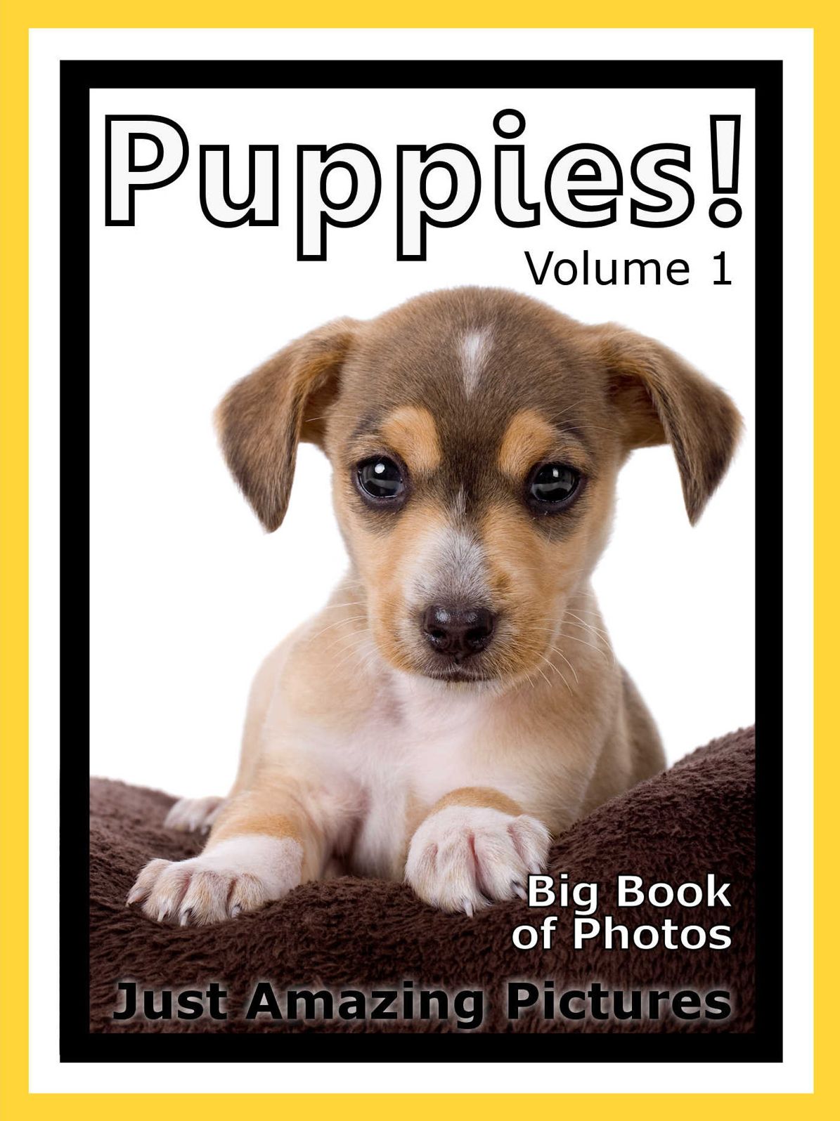 Just Puppy Photos! Big Book of Photographs & Pictures of Baby Dogs & Dog Puppies, Vol. 1