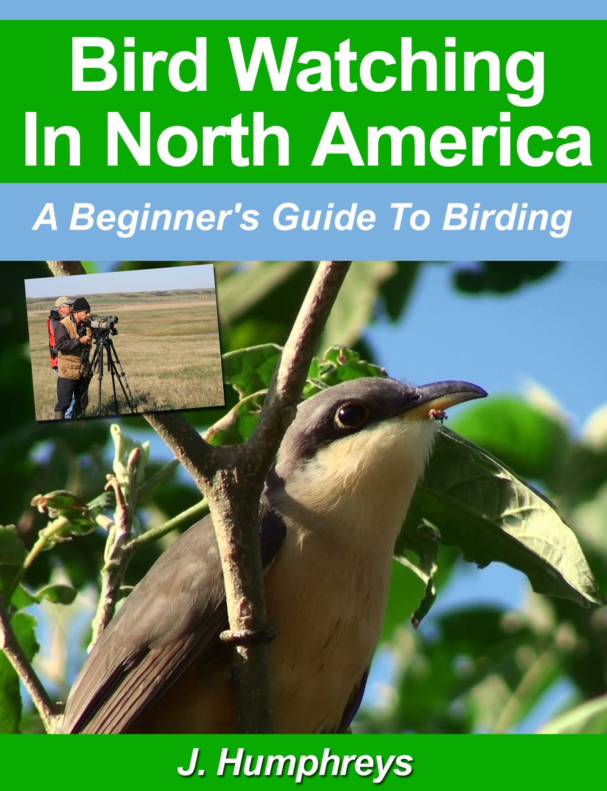 Bird Watching in North America, A Beginners Guide To Birding