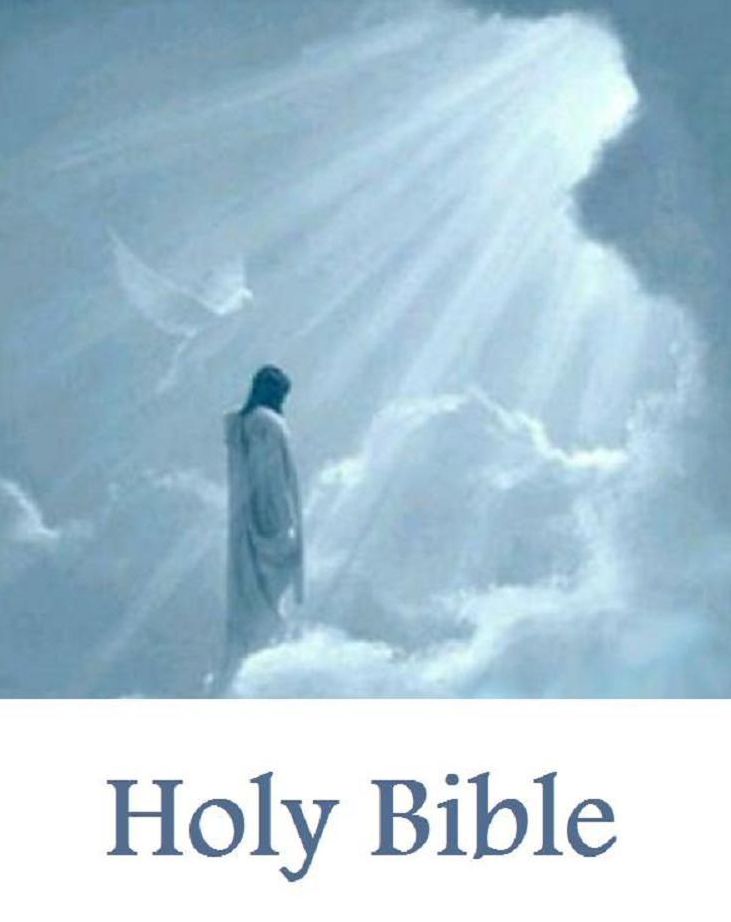 History: Holy Bible (religion, religious, bible, Lord, commandments, history,, historical, teachings, budda, theology, chicken soup, preacher, reverend, jesus )