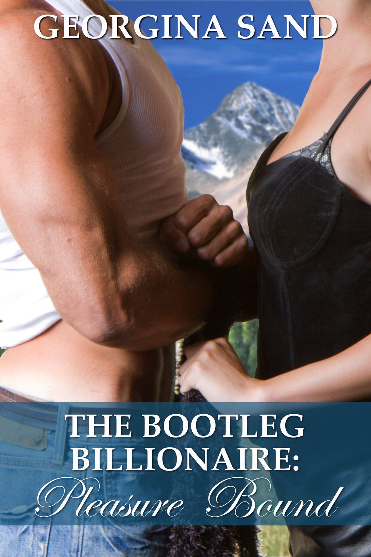 The Bootleg Billionaire: Pleasure Bound (A Contemporary Erotic Romance)