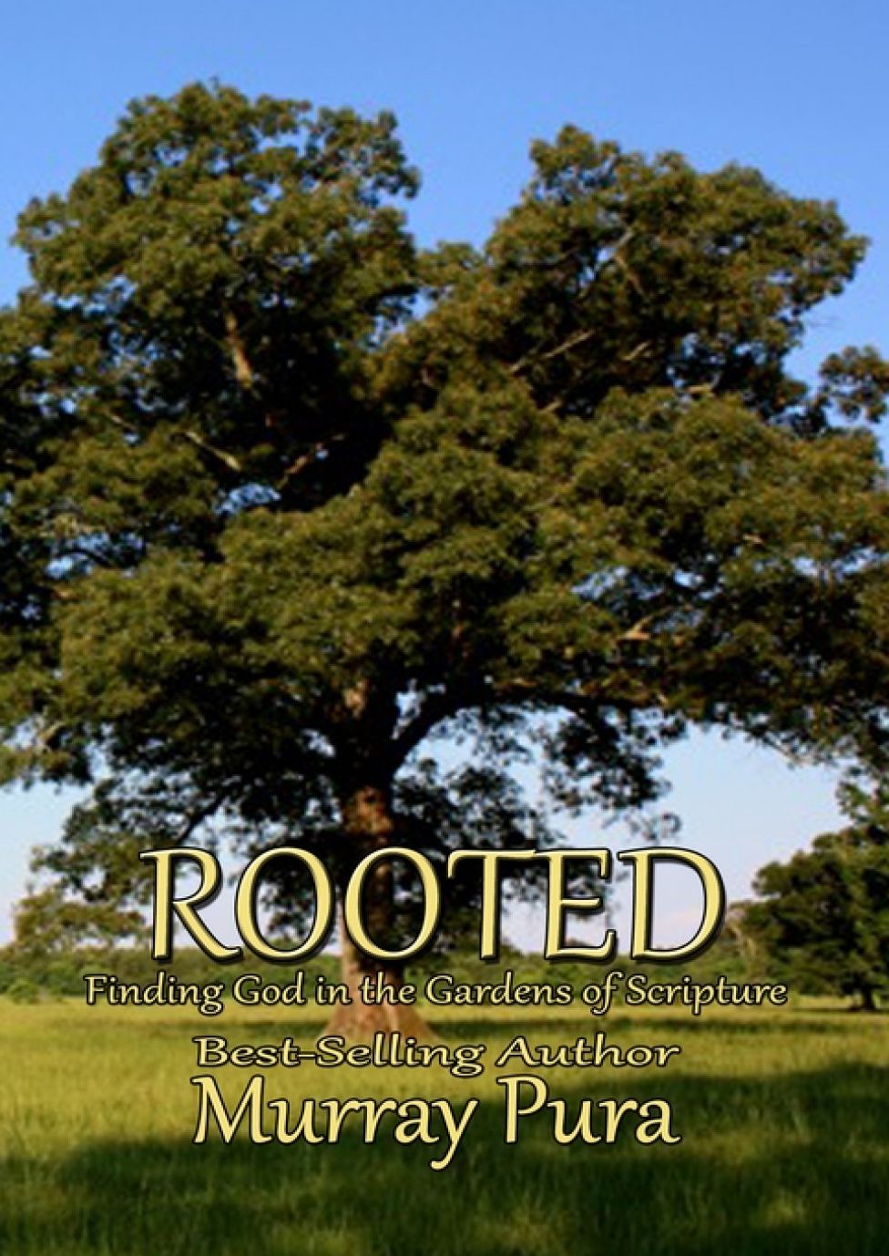 Rooted : Finding God in The Gardens of Scripture