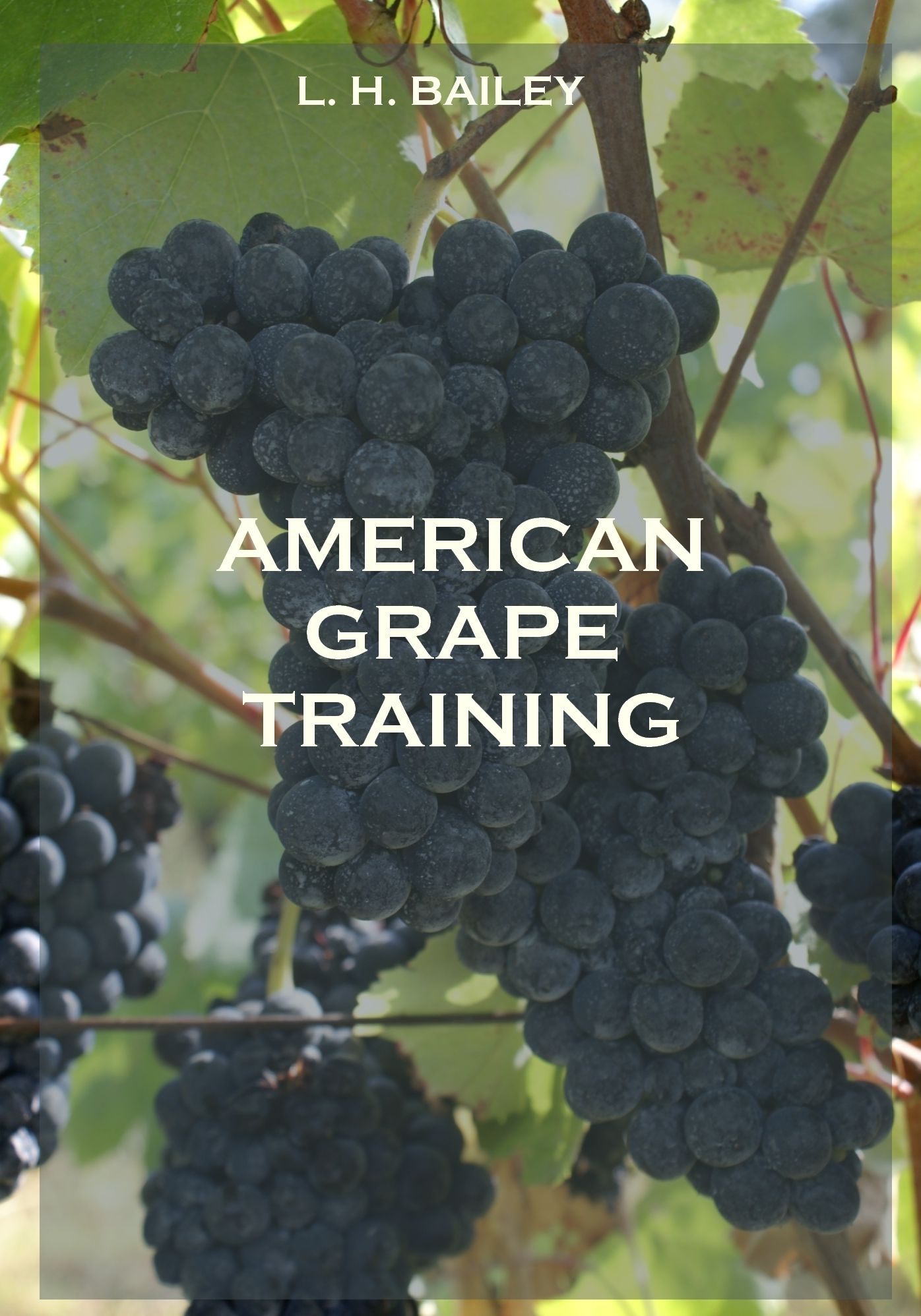 American Grape Training (Illustrated)