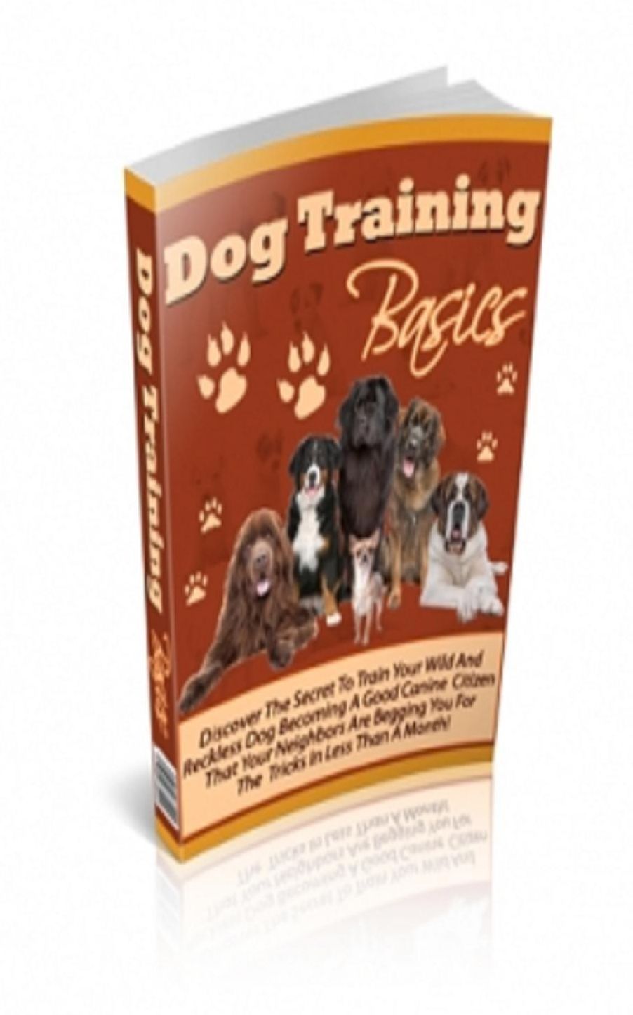 Dog Training Basics