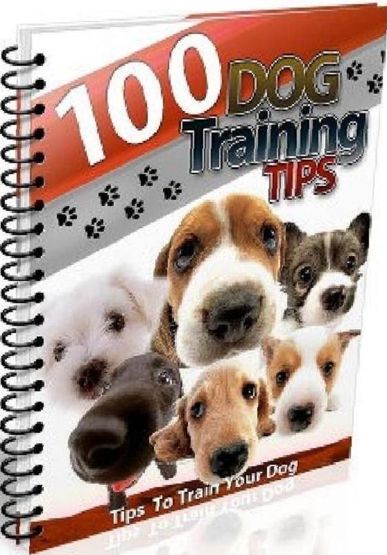 eBook about 100 Dog Training Tips - Your family is your team.
