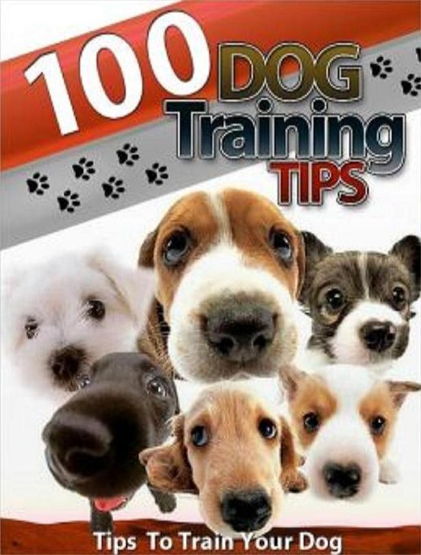 Best FYI on 100 Dog Training Tips - Never give up......