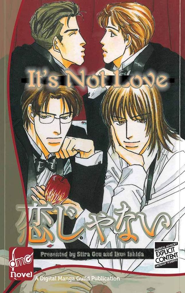 It's Not Love (Novel)